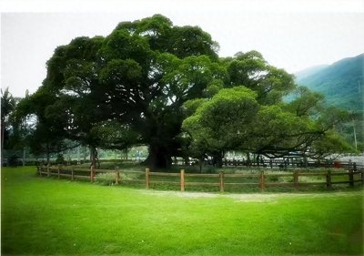 ​高校点评之福建师范大学