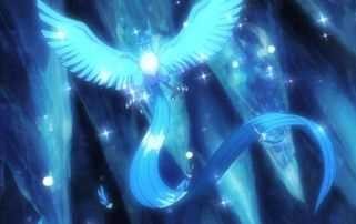 《宠物小精灵》里喷火龙和极冻鸟打是哪一集？