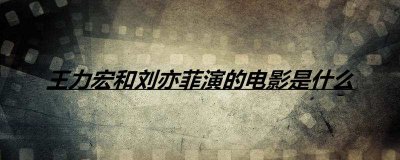 ​王力宏和刘亦菲演的电影是什么