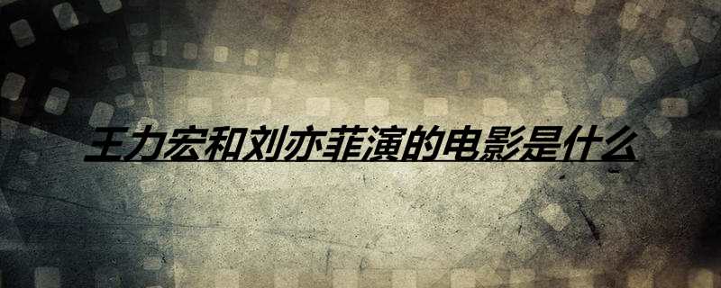 王力宏和刘亦菲演的电影是什么
