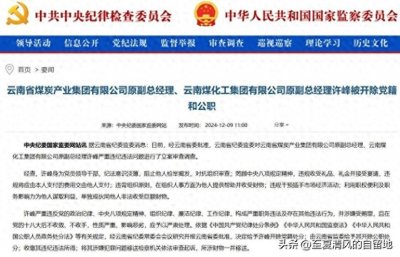 ​许峰严重违纪违法事件的警示与反思