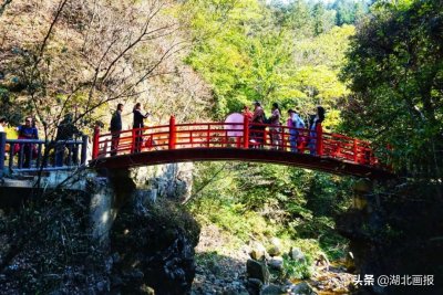 ​赏金秋红叶，玩丛林野趣，英山桃花冲风景区等你来