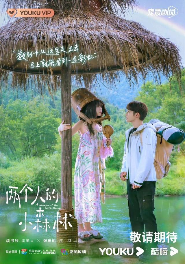 盘点今年热门电视剧有哪些（盘点近期电视剧热度榜前十）(7)