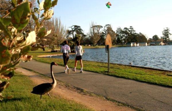 上海旅游必去攻略（这份上海旅游攻略）(82)