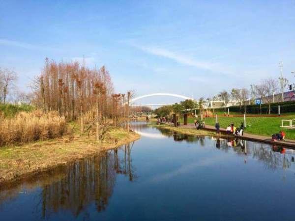 上海旅游必去攻略（这份上海旅游攻略）(60)