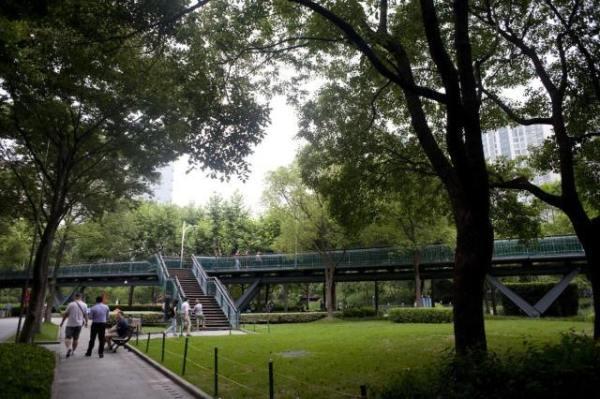 上海旅游必去攻略（这份上海旅游攻略）(99)