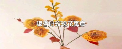 ​银杏叶玫瑰花寓意