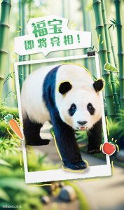​期待！明天就能见到“福宝”了