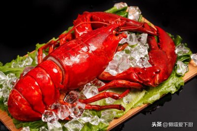 ​波龙和澳龙的区别（分辨澳龙和波龙的4个关键点）