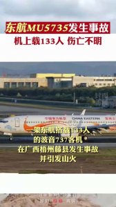 ​东航737航班失事现情况怎样（东航失事机型属于737NG系列）
