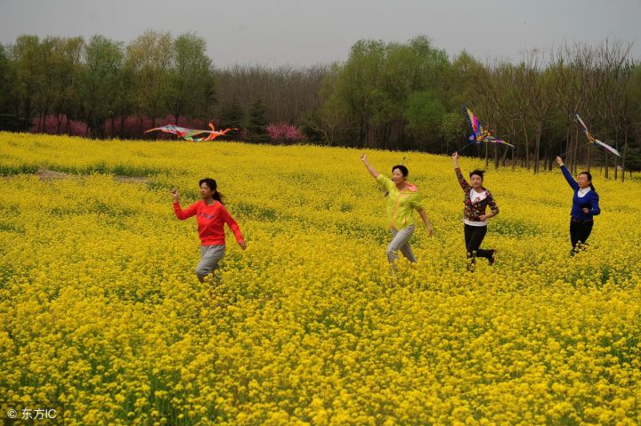 节日的习俗有哪些(盘点我国的9个传统节日习俗)