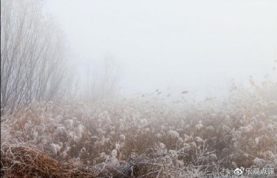 ​父母老了以后，真正孝顺的子女会3不做，越不做越孝顺