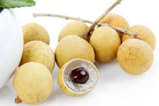 龙眼可以补气血吗 龙眼可以补肾吗 龙眼可以补气血吗 龙眼可以补肾吗