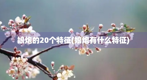 娘炮的20个特征(娘炮有什么特征)