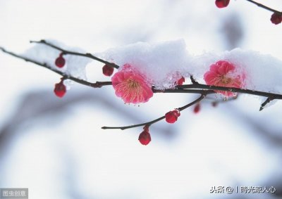 ​初雪表白文案打动人 适合告白的高级情话句子