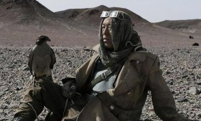 ​电影《无人区》的隼有多贵？一只100万美金，阿拉伯土豪的最爱