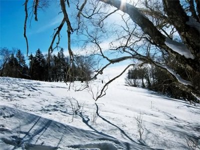 ​《林海雪原》电视剧和小说里不同的叙事方法有哪些？