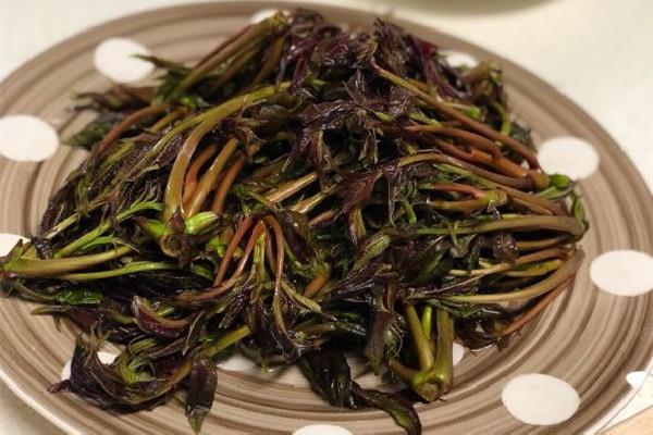 香椿有苦味正常吗 香椿为什有股怪味 香椿有苦味正常吗 香椿为什有股怪味