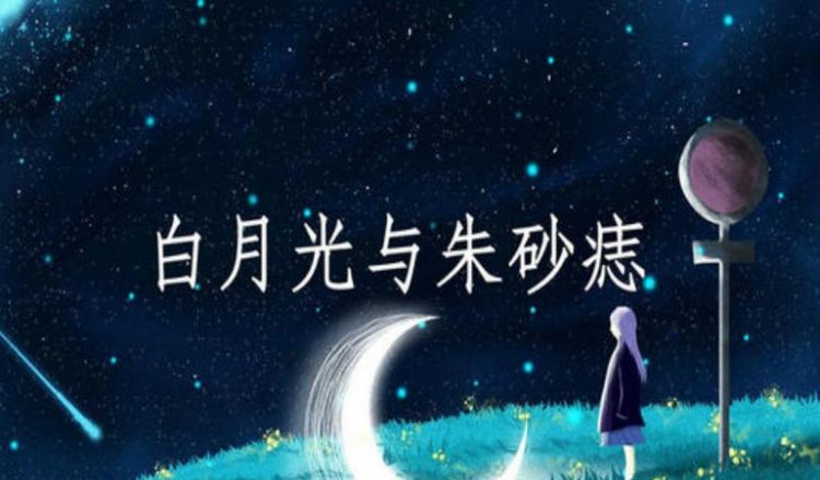 白月光与朱砂痣是什么梗