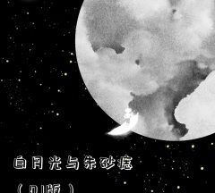 白玫瑰和朱砂痣是什么意思