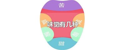 ​味觉有几种