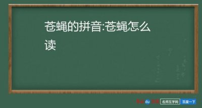 ​苍蝇的拼音怎么写（苍蝇是什么拼音）