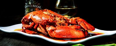 ​大龙虾吃什么