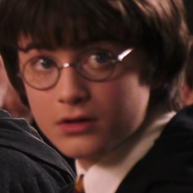 哈利波特第一部壁纸（哈利波特系列合集）(9)