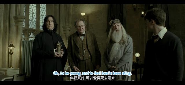 哈利波特第一部壁纸（哈利波特系列合集）(104)