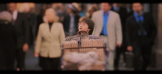 哈利波特第一部壁纸（哈利波特系列合集）(79)