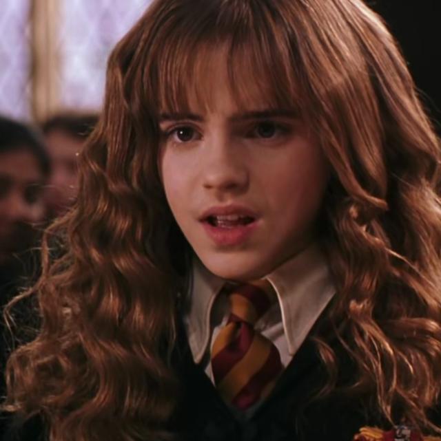 哈利波特第一部壁纸（哈利波特系列合集）(18)