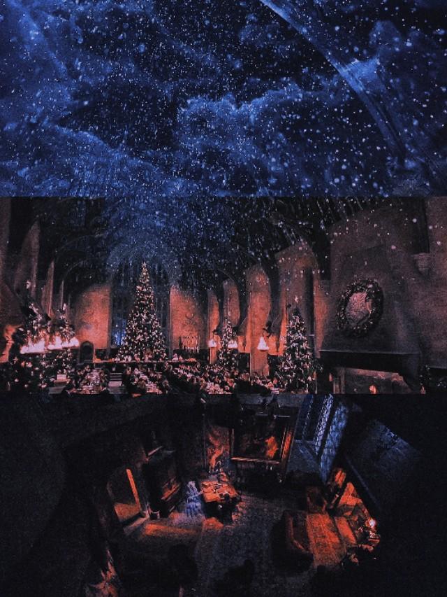 哈利波特第一部壁纸（哈利波特系列合集）(87)