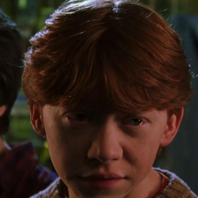 哈利波特第一部壁纸（哈利波特系列合集）(35)