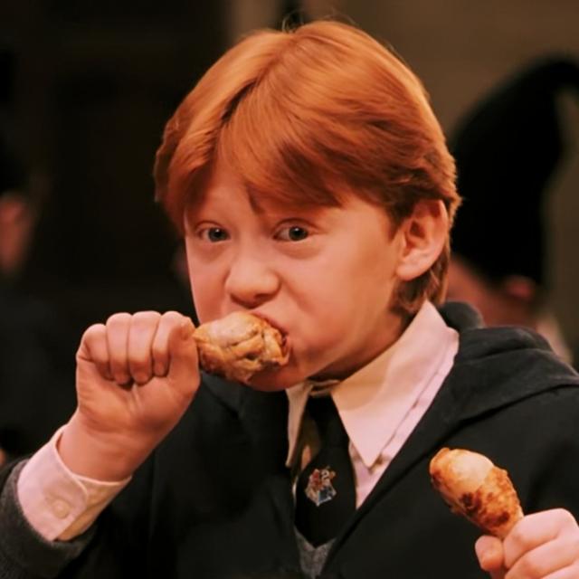 哈利波特第一部壁纸（哈利波特系列合集）(33)