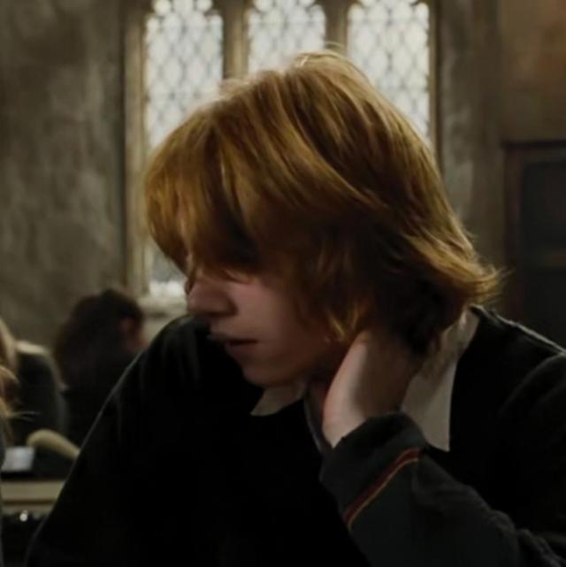 哈利波特第一部壁纸（哈利波特系列合集）(67)