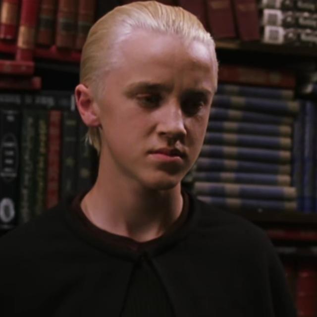 哈利波特第一部壁纸（哈利波特系列合集）(47)