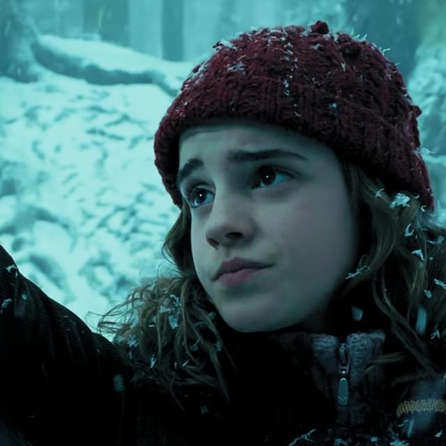 哈利波特第一部壁纸（哈利波特系列合集）(20)