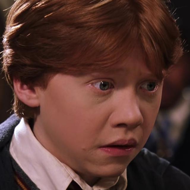 哈利波特第一部壁纸（哈利波特系列合集）(37)