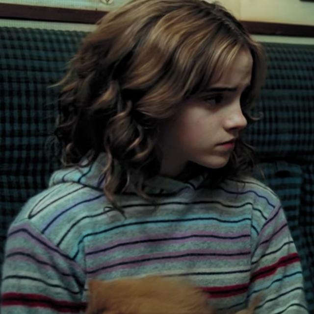 哈利波特第一部壁纸（哈利波特系列合集）(19)