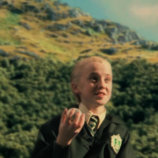 哈利波特第一部壁纸（哈利波特系列合集）(43)