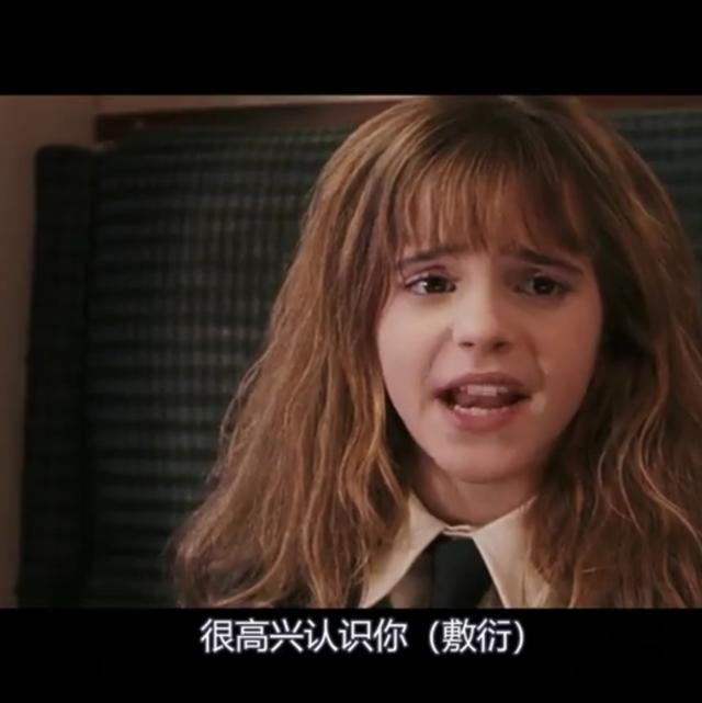 哈利波特第一部壁纸（哈利波特系列合集）(54)