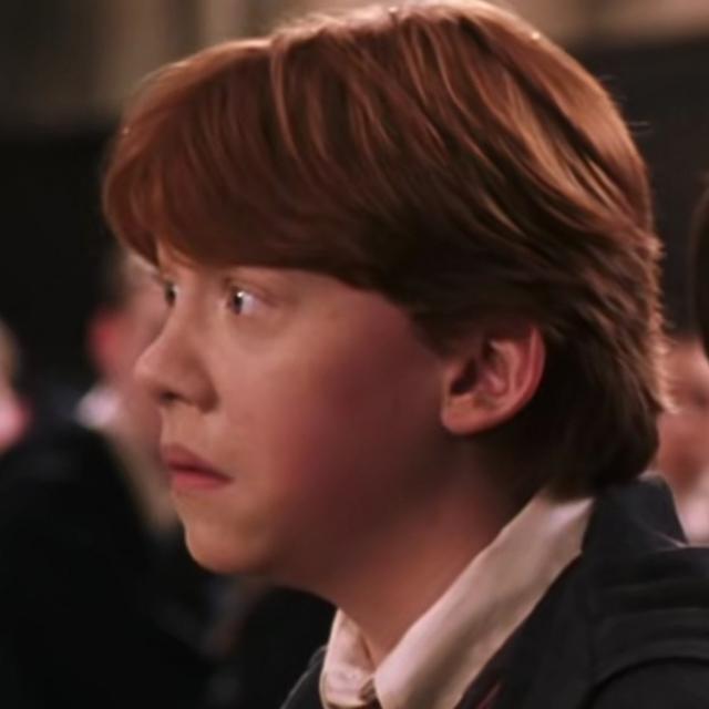 哈利波特第一部壁纸（哈利波特系列合集）(36)