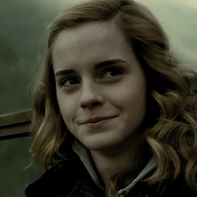 哈利波特第一部壁纸（哈利波特系列合集）(27)