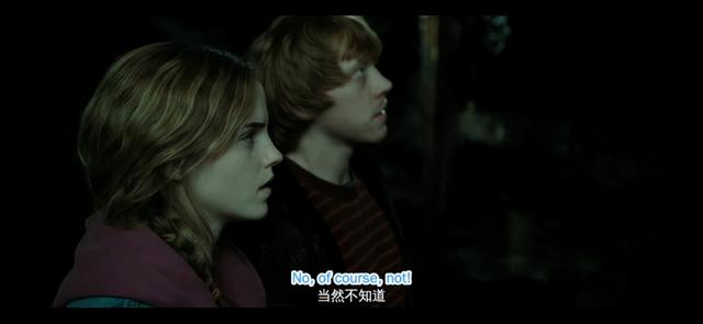 哈利波特第一部壁纸（哈利波特系列合集）(107)