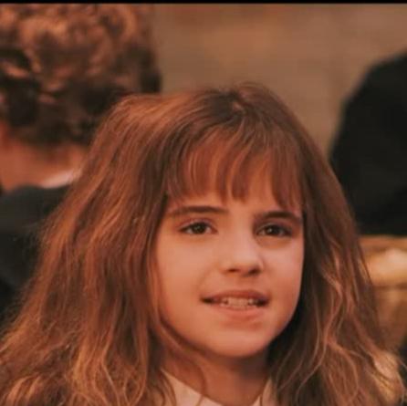 哈利波特第一部壁纸（哈利波特系列合集）(15)