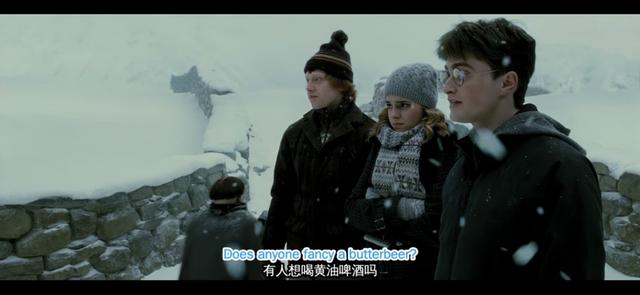 哈利波特第一部壁纸（哈利波特系列合集）(108)