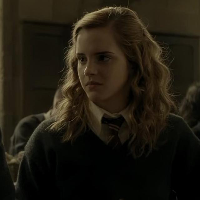 哈利波特第一部壁纸（哈利波特系列合集）(68)