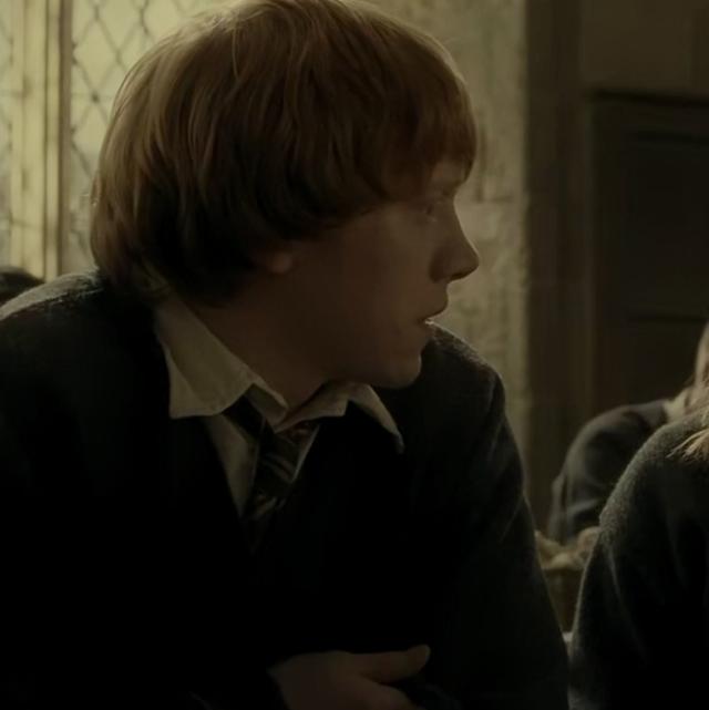 哈利波特第一部壁纸（哈利波特系列合集）(69)