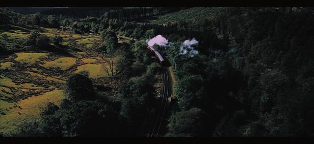 哈利波特第一部壁纸（哈利波特系列合集）(80)