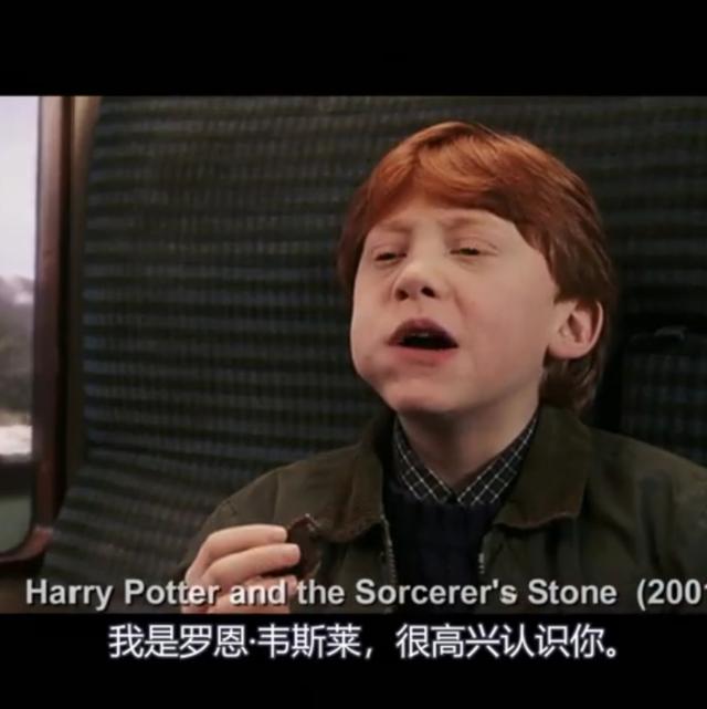 哈利波特第一部壁纸（哈利波特系列合集）(53)
